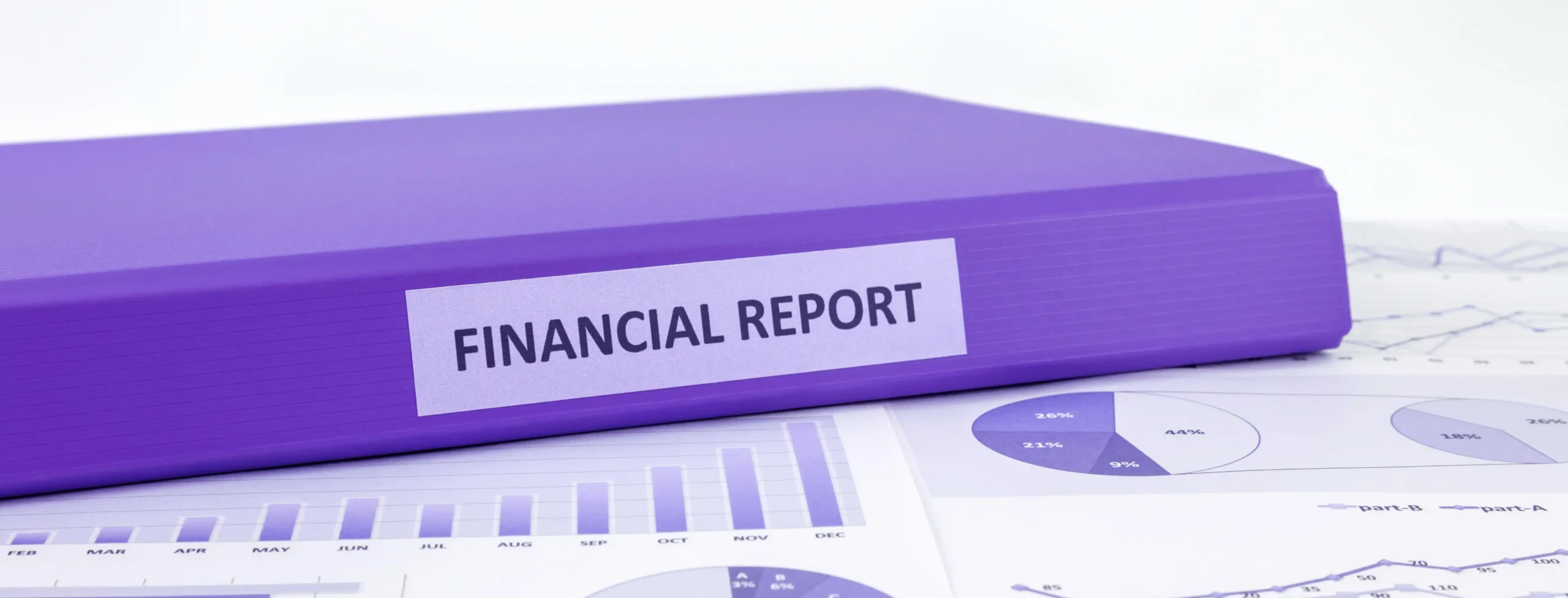 انواع گزارش مالی 7