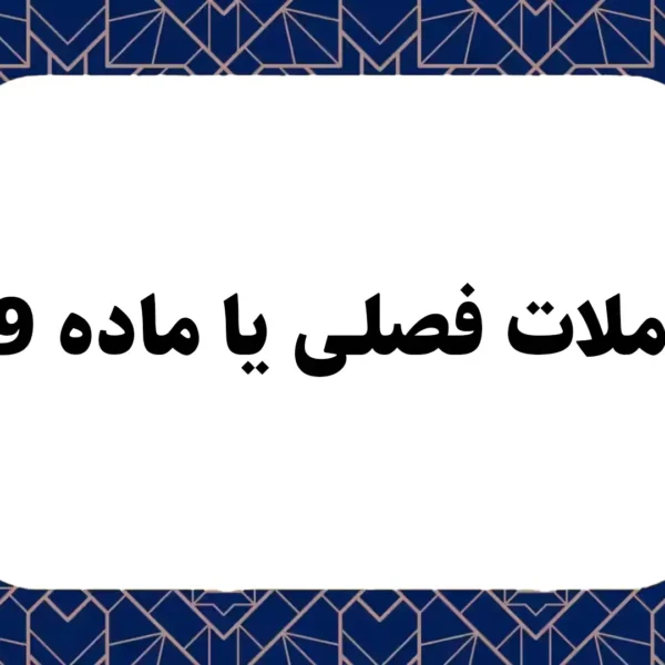 معاملات فصلی یا ماده 169