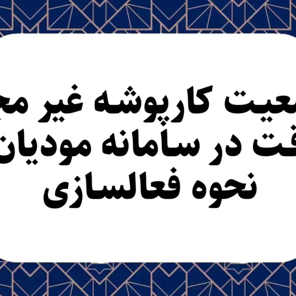 وضعیت کارپوشه غیر مجاز موقت در سامانه مودیان + نحوه فعالسازی