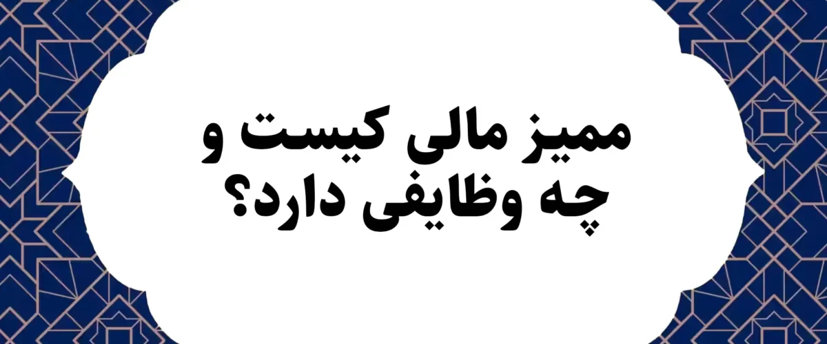 ممیز مالی کیست و چه وظایفی دارد