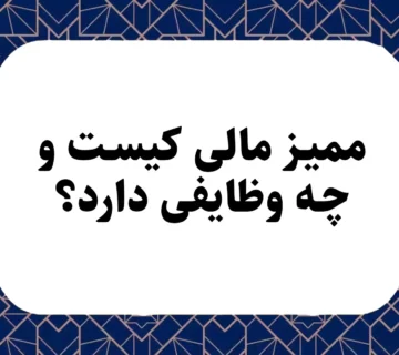 ممیز مالی کیست و چه وظایفی دارد