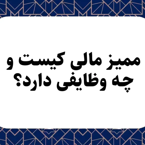 ممیز مالی کیست و چه وظایفی دارد