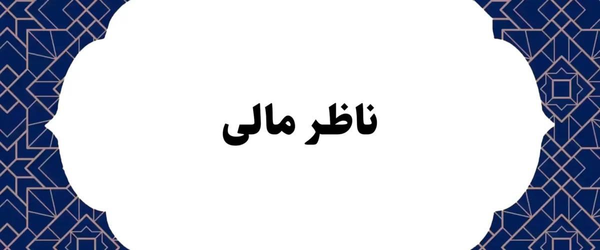 ناظر مالی