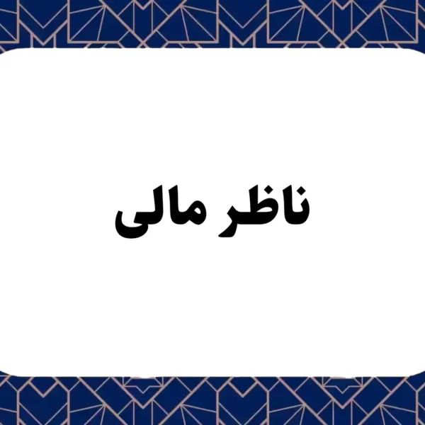ناظر مالی