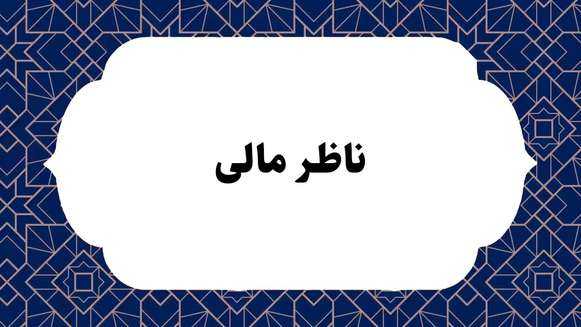 ناظر مالی